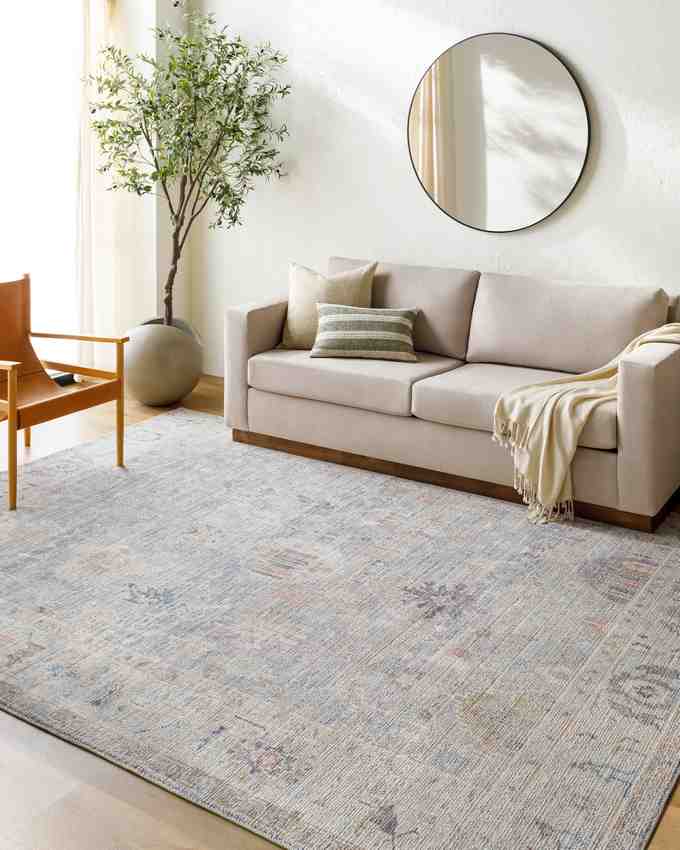 Marlene Traditional Medium Gray/Pale Blue Area Rug - Becki Owens x Livabliss