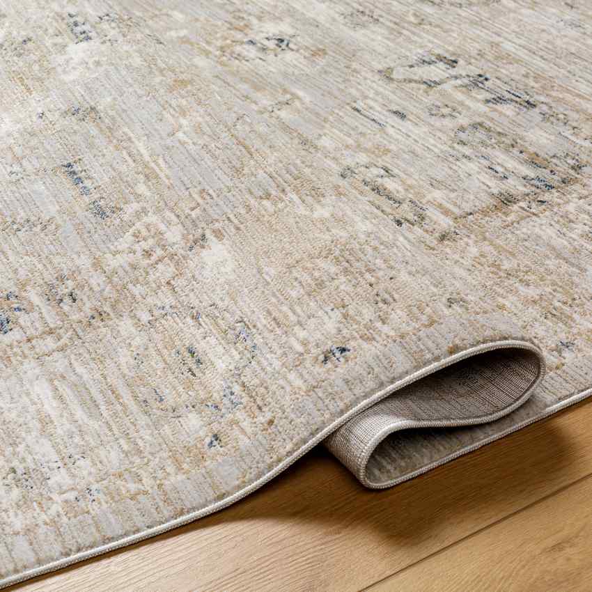 Dawan Traditional Light Beige Area Rug