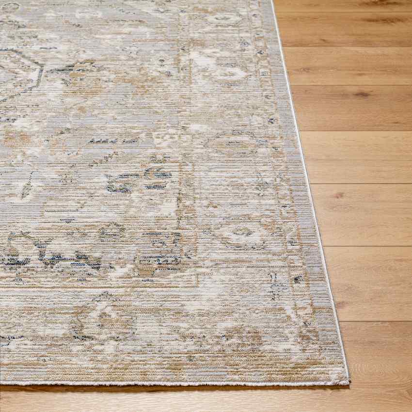 Dawan Traditional Light Beige Area Rug