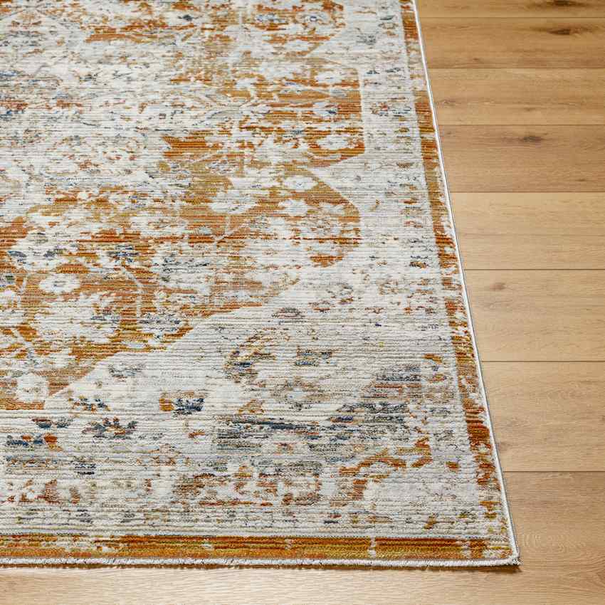 Arek Traditional Saffron/Rust Area Rug