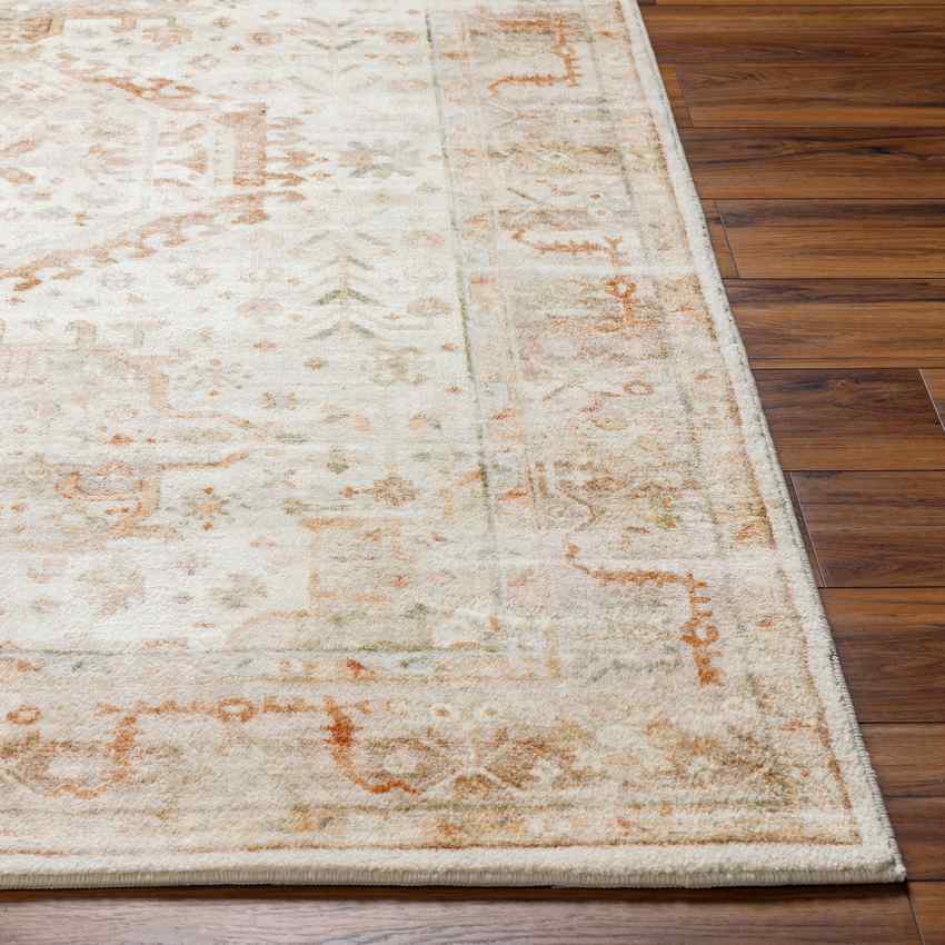 Dreama Traditional Rust/Dusty Sage Area Rug