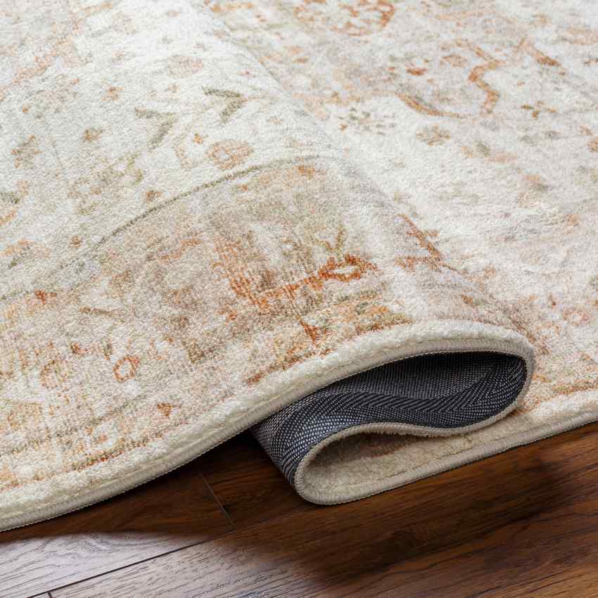 Dreama Traditional Rust/Dusty Sage Area Rug