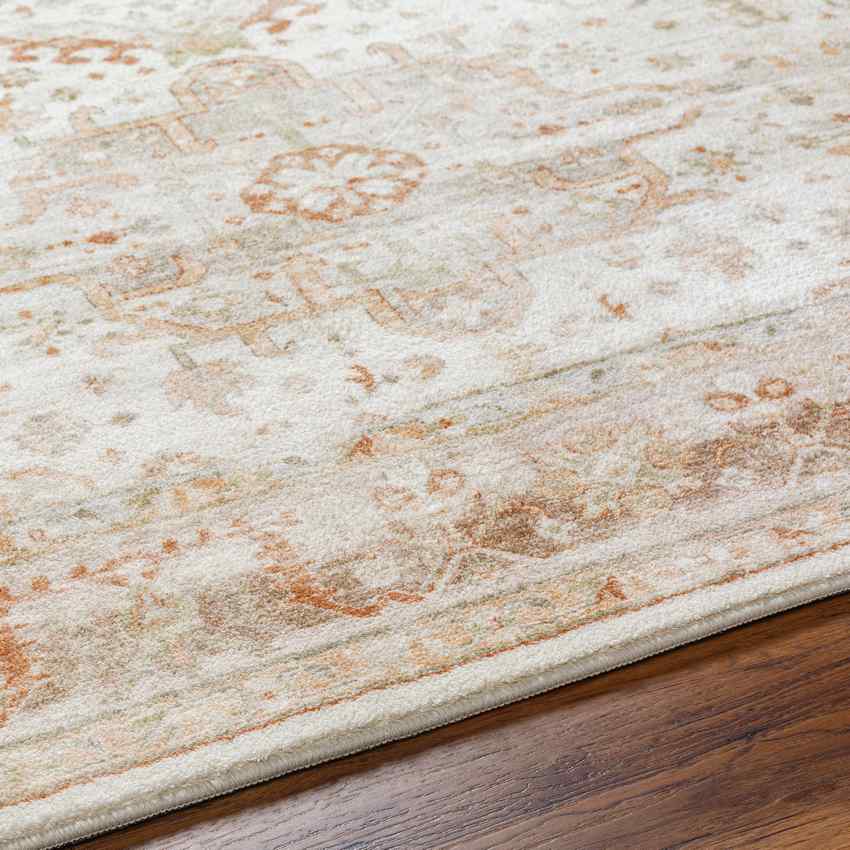 Dreama Traditional Rust/Dusty Sage Area Rug