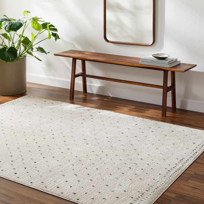 Monisha Modern Ivory/Black Area Rug