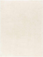 Monisha Modern Ivory/Off-White Area Rug