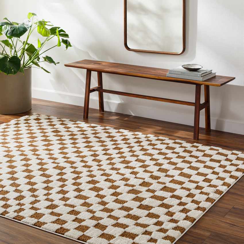 Ilea Modern Ivory/Brown Area Rug