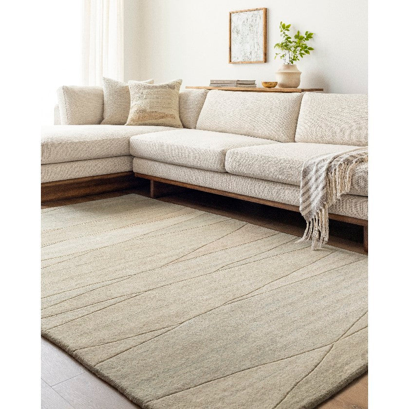 Mulhouse Modern Light Beige Area Rug