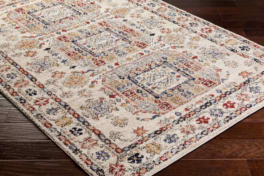 Daphna Traditional Light Beige Area Rug