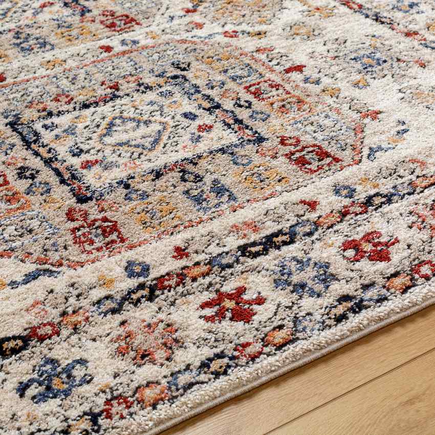 Daphna Traditional Light Beige Area Rug