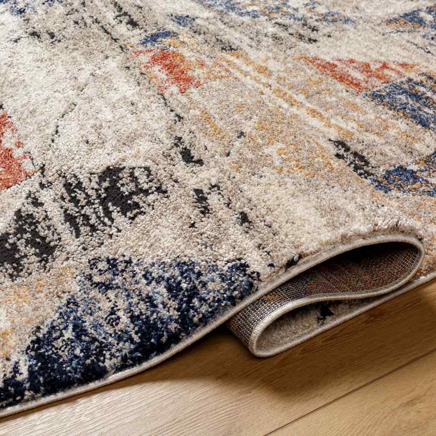 Delaine Traditional Dark Blue/Light Beige Area Rug