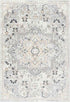 Dartagnan Traditional Light Gray Area Rug