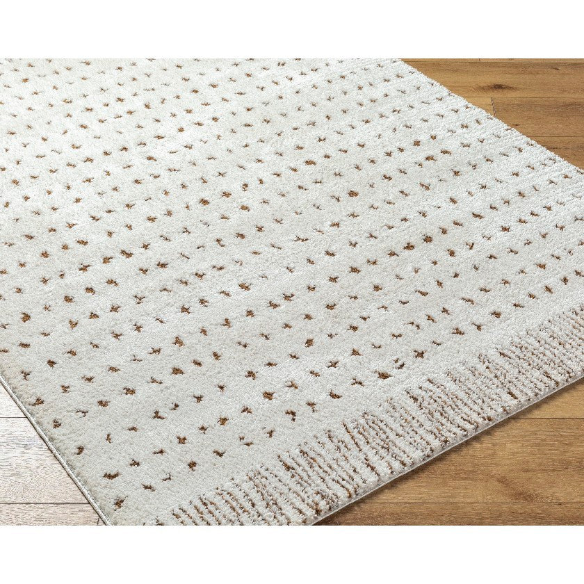 Haily Modern Ivory/Brown Area Rug