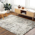 Denee Modern Medium Gray Area Rug