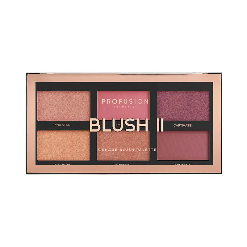 Blush Palette Eye Shadow