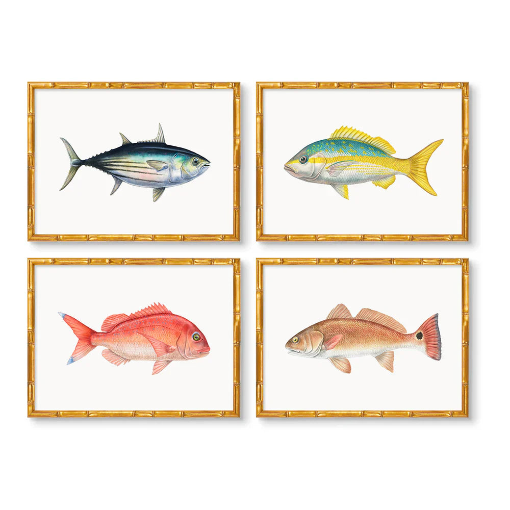 Carolina Fish Set of 4 by Charleston Blonde