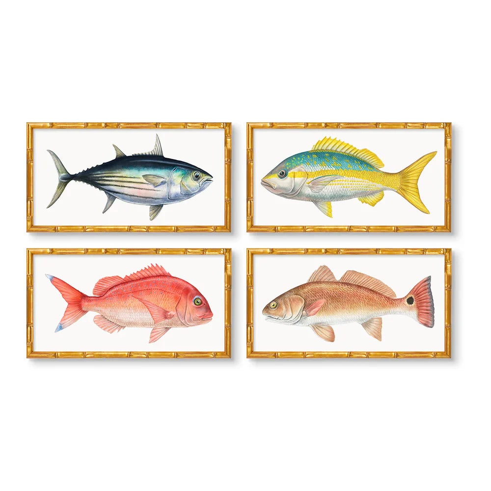 Carolina Fish Set of 4 by Charleston Blonde