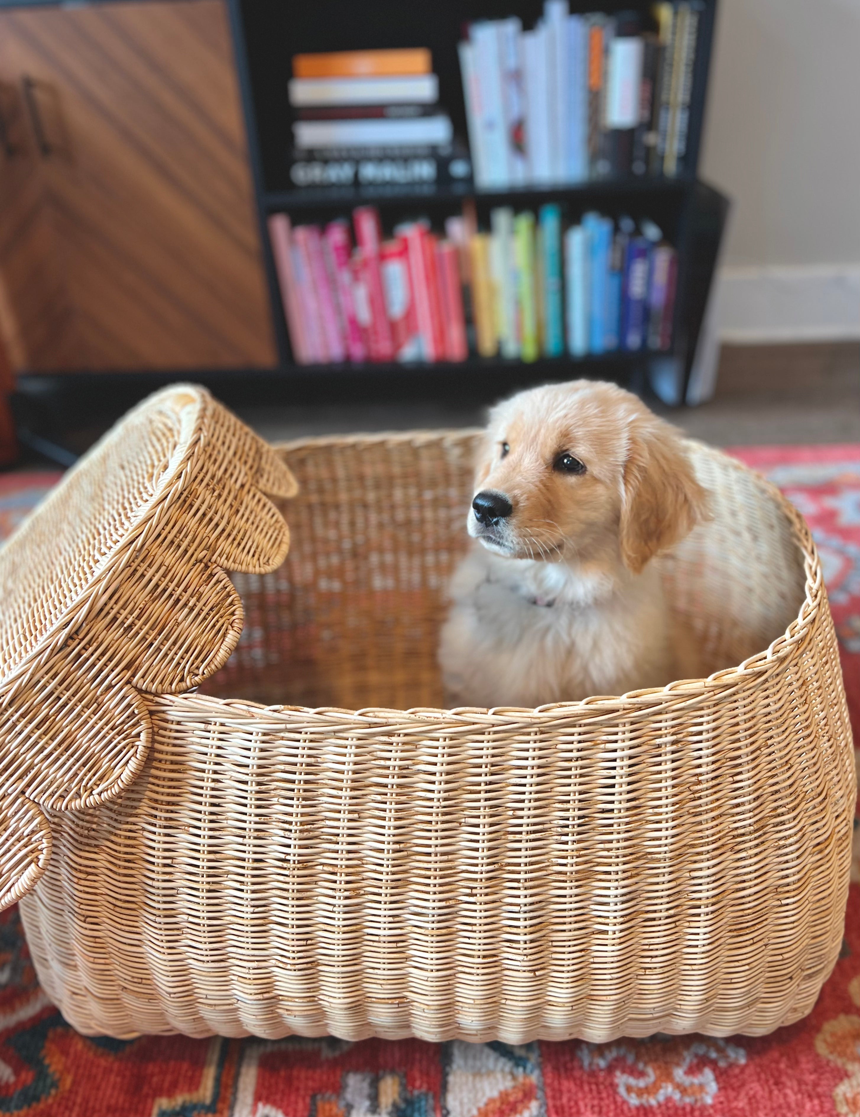 Scalloped Rattan Basket - Medium - Pre-Sale