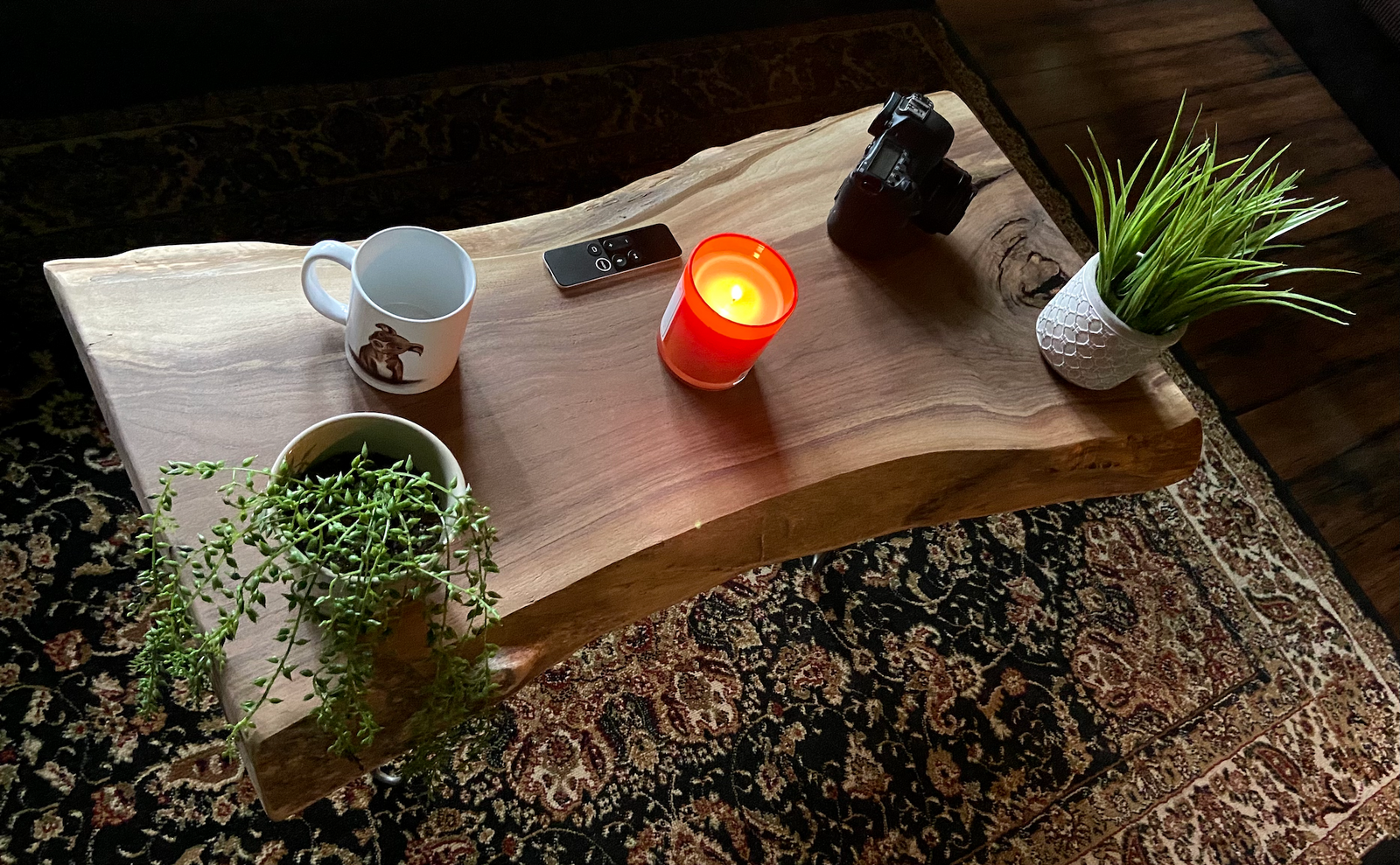 Gray and Violet Live Edge Walnut Rustic Wood Coffee Table