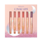 Lunar Lips 6 PC Lipstick & Liner Set