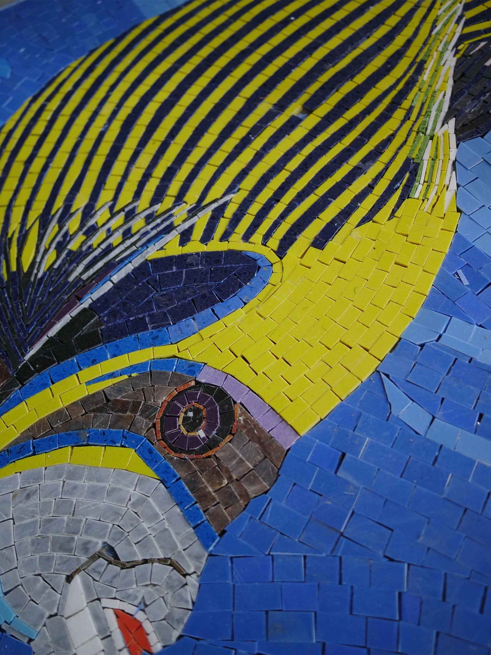 Queen Angel Fish Mosaic Art