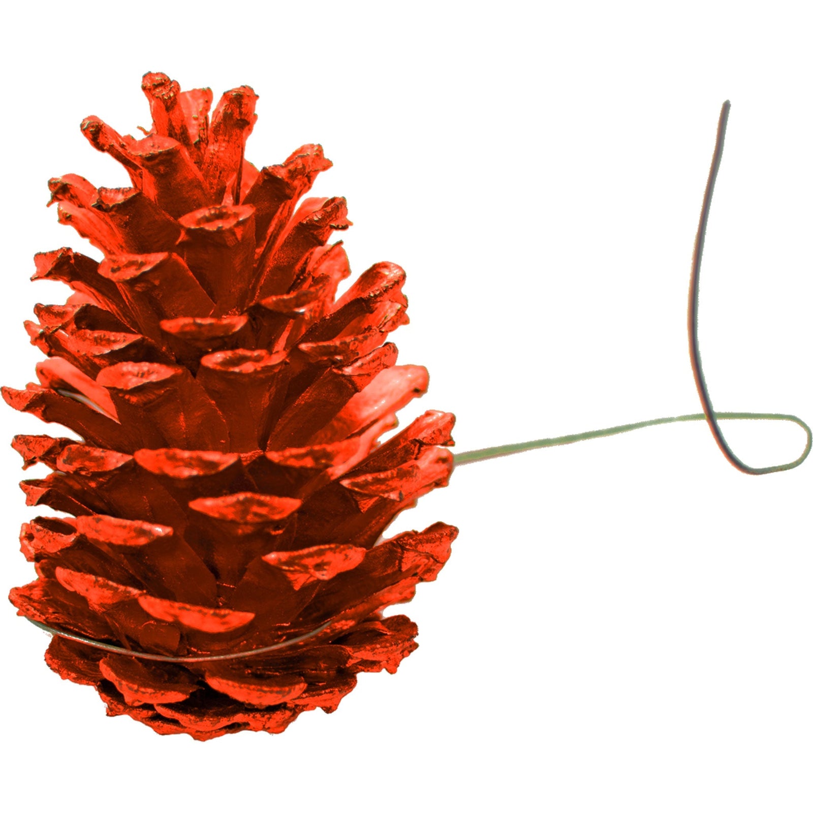 Orange Pine Cones