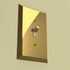 Century Polished Brass Steel - 1 Toggle / 1 Duplex Wallplate