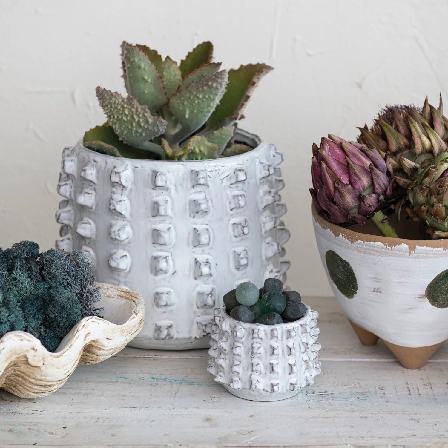 Sculptural Planter with Raised Dots