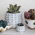 Stoneware Sculptural Planter with Raised Squares