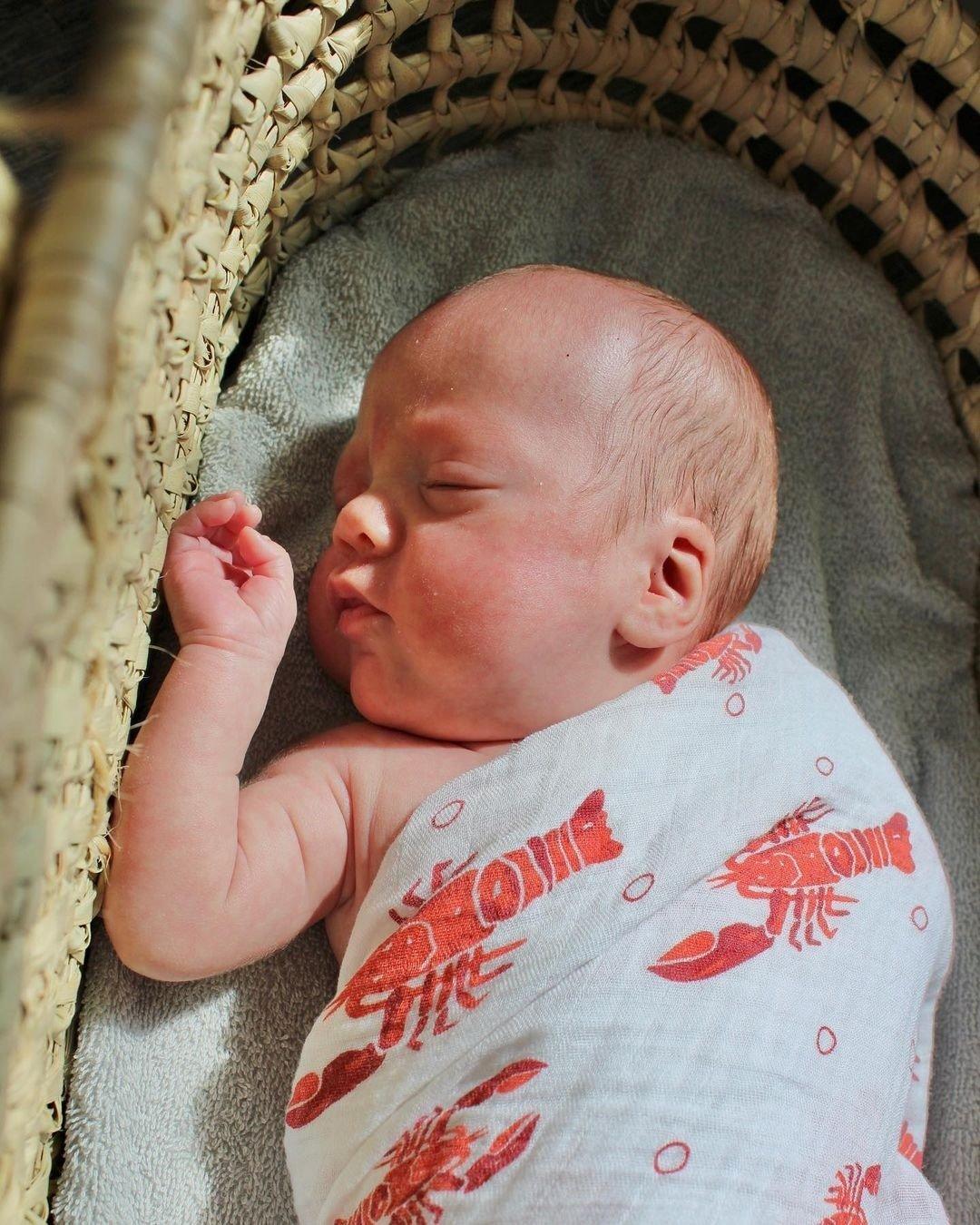 Gift Set: Heads Tails Crawfish Lobster Baby Muslin Swaddle Blanket and Burp Cloth/Bib Combo