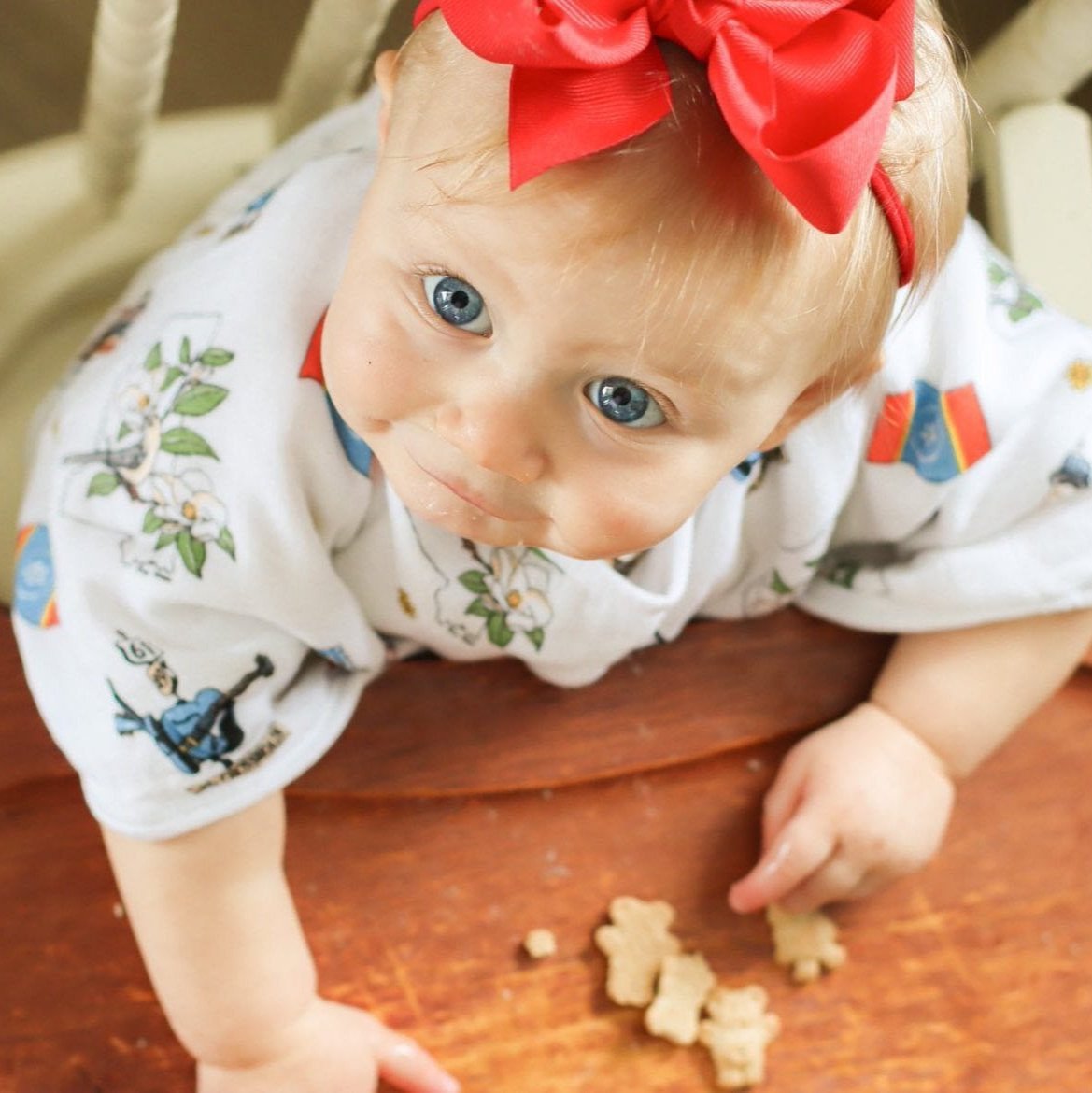 Gift Set: Mississippi Muslin Swaddle Baby Blanket and Burp Cloth/Bib Combo