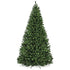 Alaskan Pine Artifiicial Christmas Tree, Green, 7 Feet, 1152 Tips