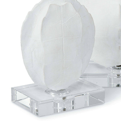 Turtle Shells on Acrylic - Set of 2