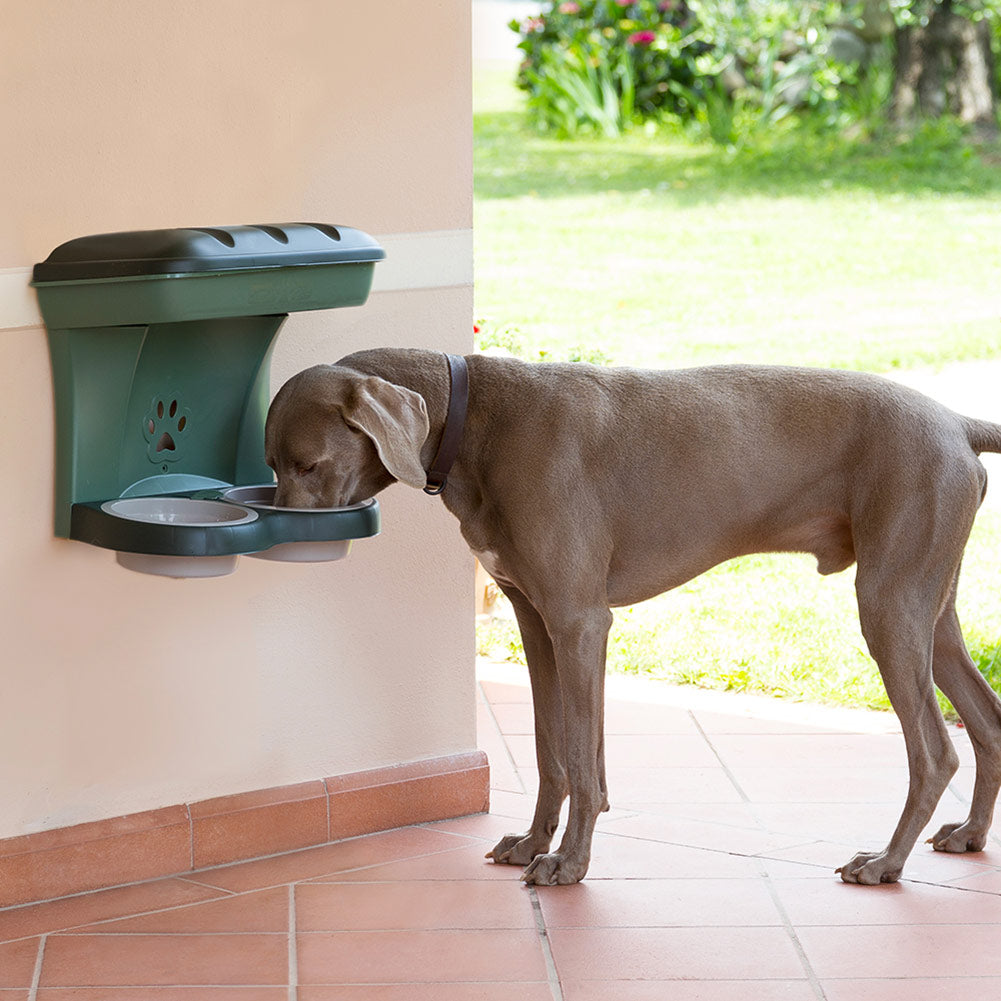 Bama Pet Mountable Food Stand with Storage Compartment, Green, Larger Dog Size