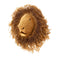 Lion Face Wall Decor