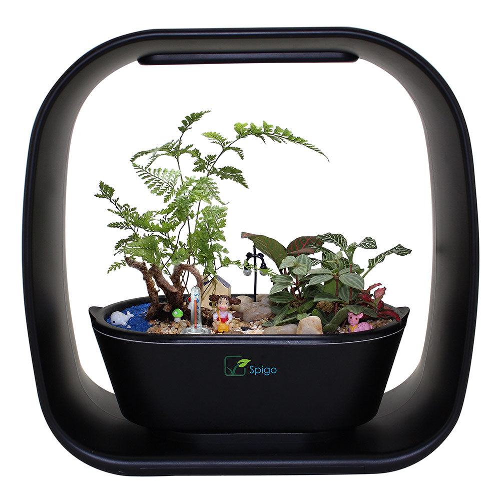 Spigo Intelligent Indoor LED Light Garden, Matte Black