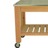 Modern Garden Potting Table