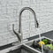 Kitchen Sink Faucet Pull Out Sprayer Brushed Nickel Mixer Tap With Deck Plate