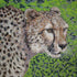 Mosaic Animal Art - Cheetah