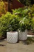 Zona Pot - Multiple Sizes