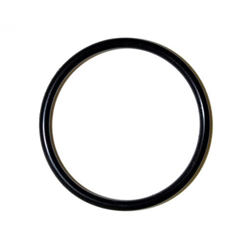 Danco 35713B #81 O-Ring (1 per Bag)